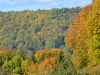 Herbstwald